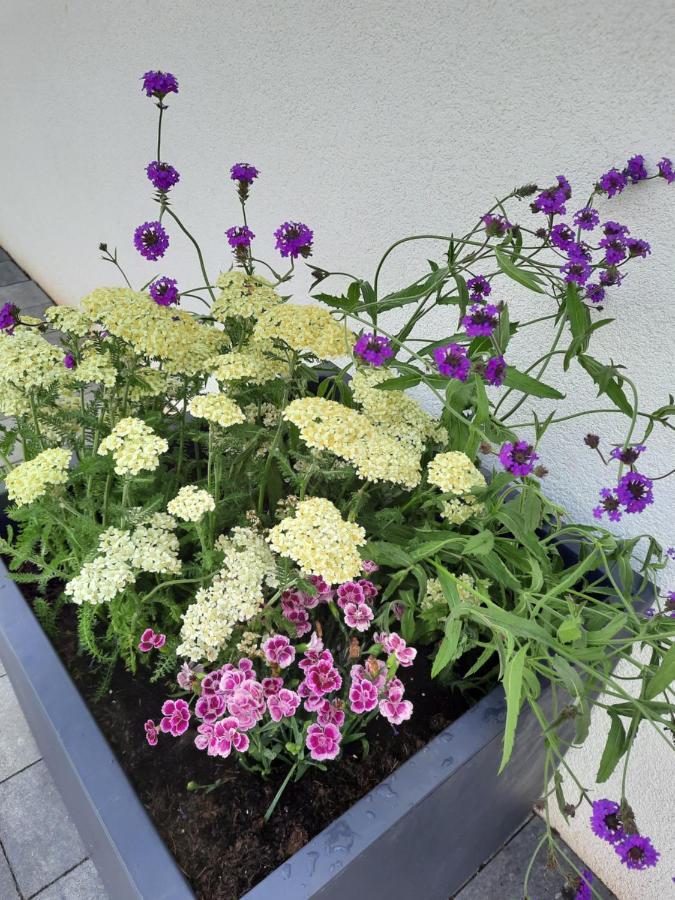 Apartments Bei Playmobil Eg,130M2,Grosse Terassen,24H Self Check-In, Free Parking Zirndorf Extérieur photo